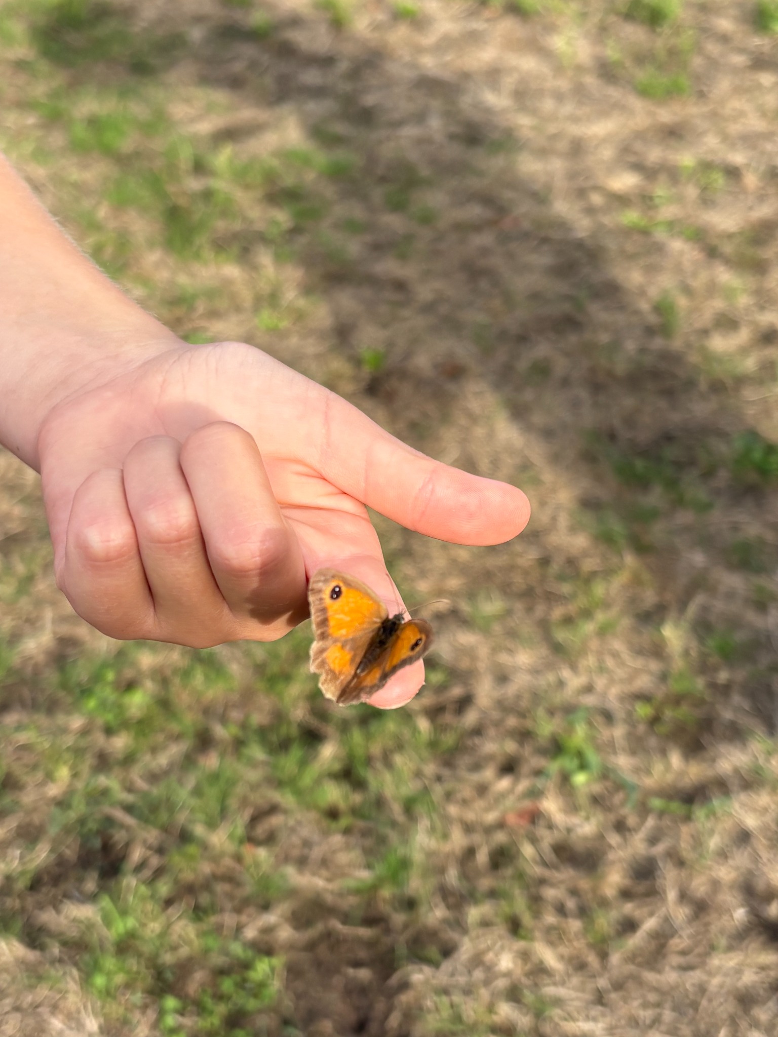 Een vlinder op de vinger van een deelnemer aan de veldles.
