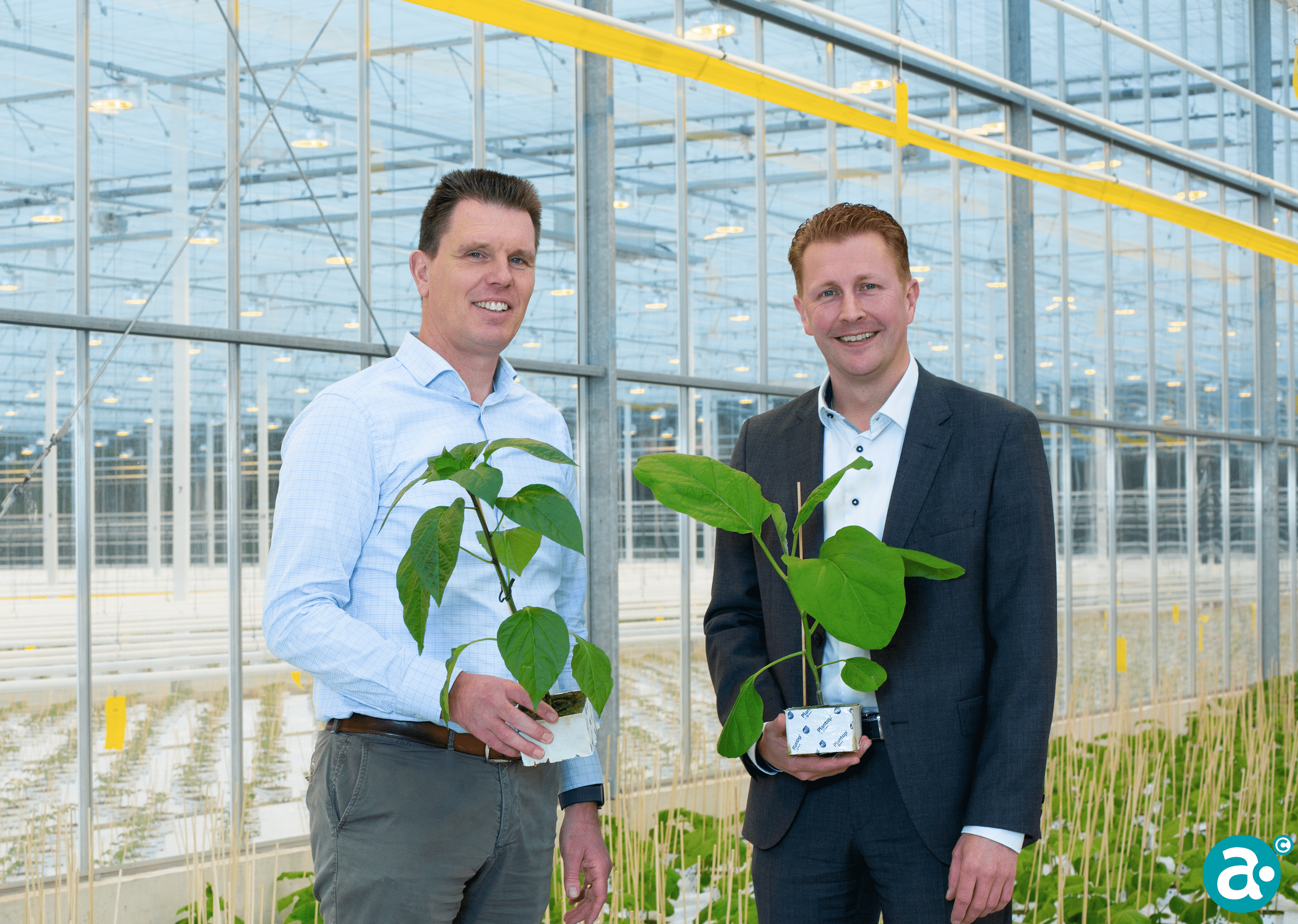 Doing Well by Doing Good: investeren in innovatieve en duurzame  teeltmethodes'